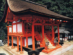 秋天的活动信息息