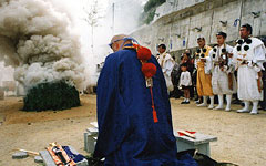 春天的活动信息