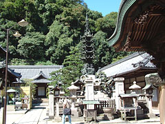 春天的活动信息