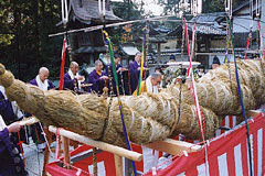 冬天的活动信息