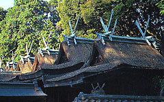 冬天的活动信息