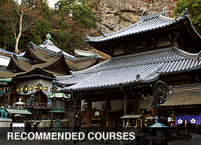 RECOMMENDED COURSES