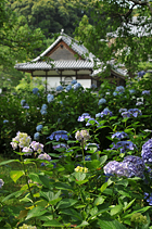 生駒市観光協会賞