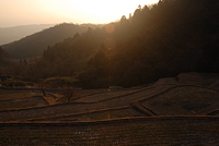 生駒市観光協会賞