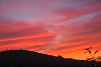 生駒市観光協会賞