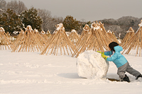 生駒市観光協会賞
