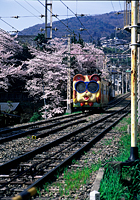 生駒市観光協会賞