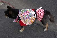 生駒市観光協会賞