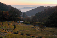 生駒市観光協会賞