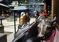 生駒市観光協会賞