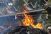 生駒市観光協会賞