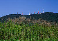 生駒市観光協会賞