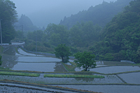 生駒市観光協会賞