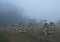 生駒市観光協会賞