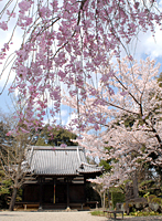 生駒市観光協会賞