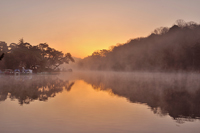 生駒市観光協会賞