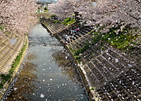 生駒市観光協会賞