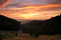 生駒市観光協会賞