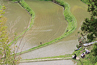 生駒市観光協会賞