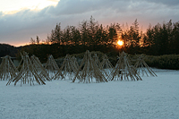 生駒市観光協会賞