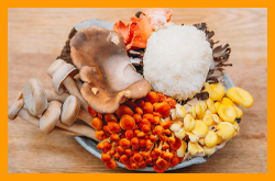 きのこ料理 創士庵